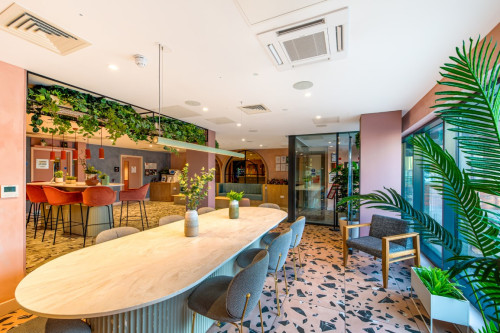 Aster House - Gallery - 13