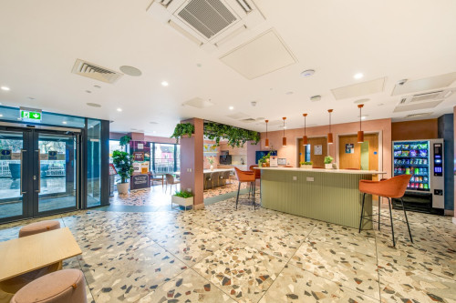 Aster House - Gallery - 11