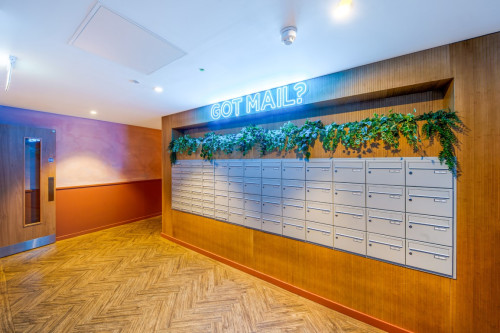 Aster House - Gallery - 12