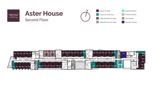Aster House - Gallery - 15