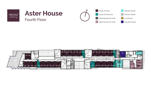 Aster House - Gallery - 17