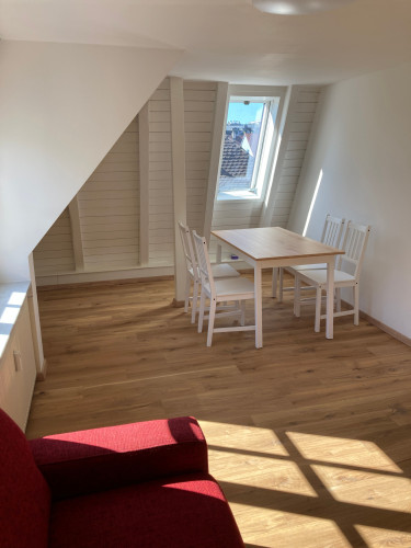 Cozy and warm Apartment in Munich