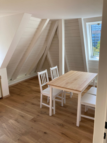 Cozy and warm Apartment in Munich