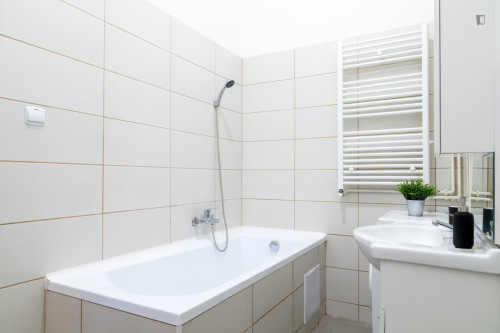 Very nice 1 bedroom apartment near Rákóczi tér metro