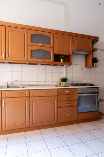 Very nice 1 bedroom apartment near Rákóczi tér metro