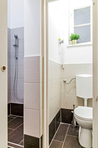 Very nice double bedroom near Blaha Lujza tér metro