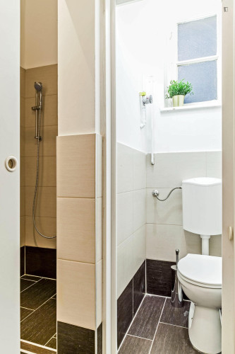 Very nice double bedroom near Blaha Lujza tér metro