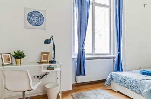 Very pleasant double bedroom near Blaha Lujza tér metro