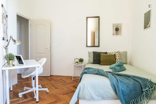 Very pleasant double bedroom near Oktogon metro