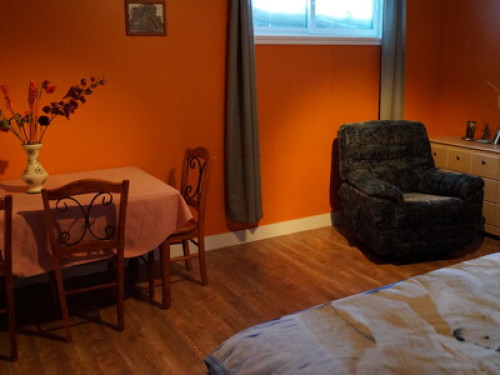 Bienvenue à Montréal  - Gallery -  5