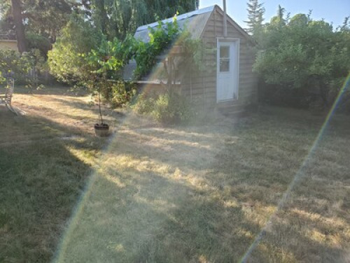 Peaceful Victoria homestay