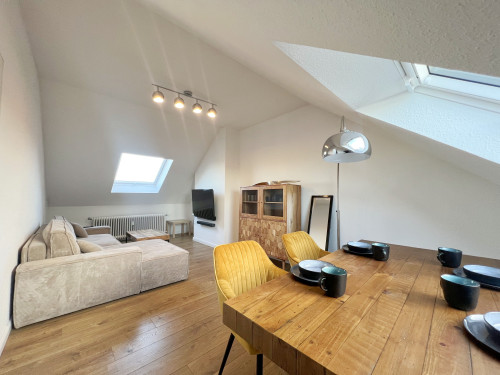 New, gorgeous flat in Bonn