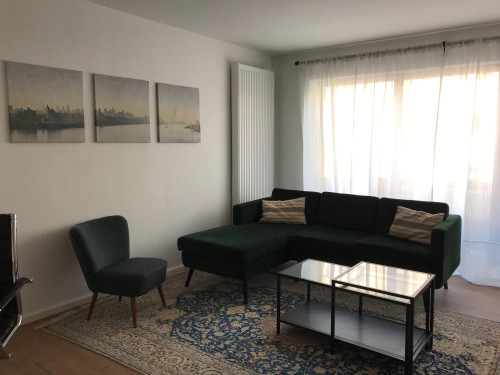 Cozy, wonderful apartment in Mainz - Gallery - 27