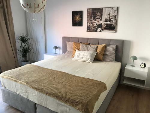 Cozy, wonderful apartment in Mainz - Gallery - 25