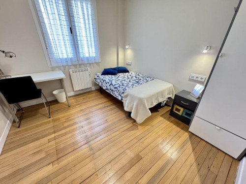 Comfy single bedroom in Uribarri