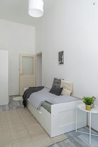 Alluring single bedroom near the centre of Budapest - Gallery - 12