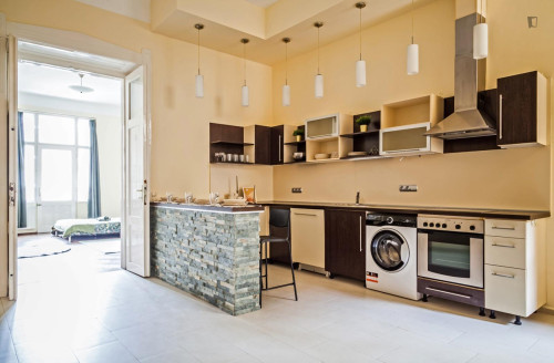 Grand double bedroom in Belső-Ferencváros - Gallery - 7