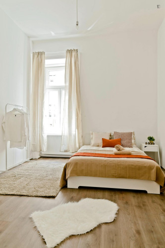 Alluring double bedroom near Rákóczi tér metro