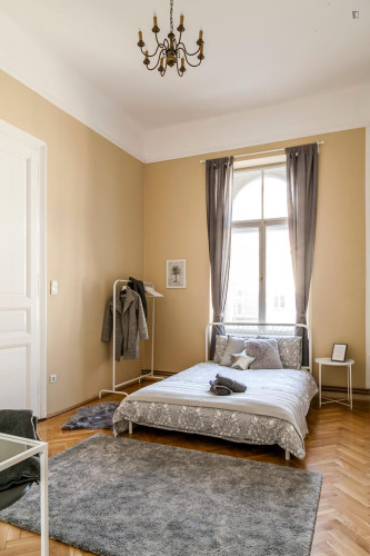 Welcoming double bedroom in the Belső-Ferencváros neighbourhood