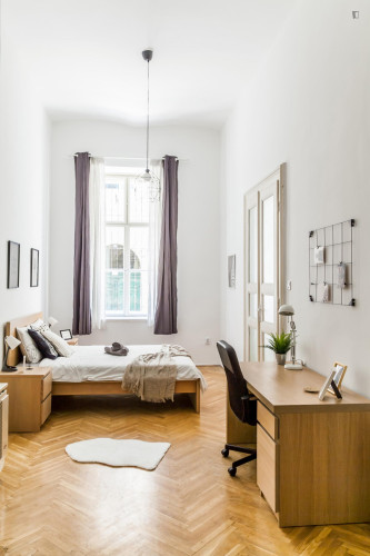 Welcoming double bedroom near Opera metro
