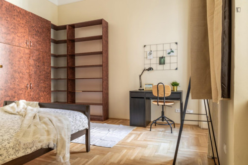 Very nice double bedroom near Blaha Lujza tér metro