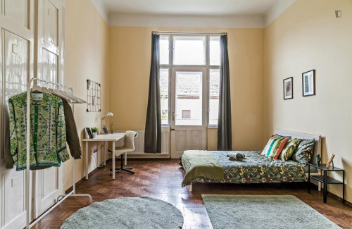 Large double bedroom in Belső-Ferencváros