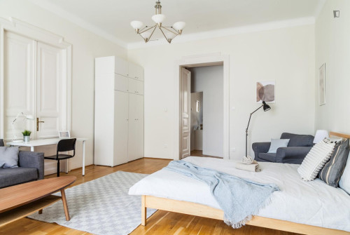 Grand double bedroom near the Vörösmarty utca metro - Gallery - 8