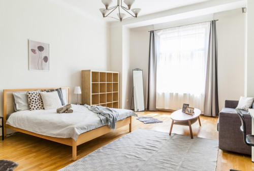 Grand double bedroom near the Vörösmarty utca metro