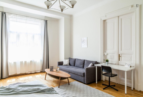Grand double bedroom near the Vörösmarty utca metro - Gallery - 6