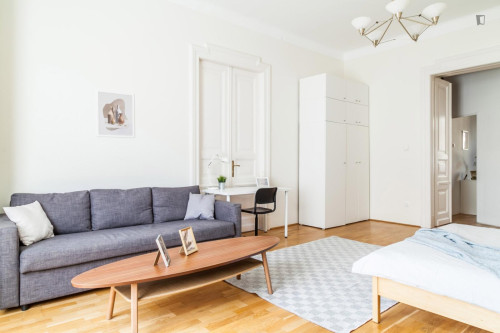 Grand double bedroom near the Vörösmarty utca metro