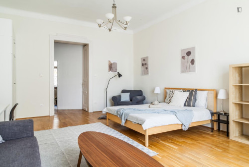 Grand double bedroom near the Vörösmarty utca metro - Gallery - 5
