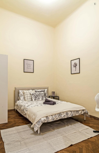 Nice double ensuite bedroom in Belső-Ferencváros