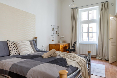 Double bedroom with private bathroom in the 6th district - Gallery - 5