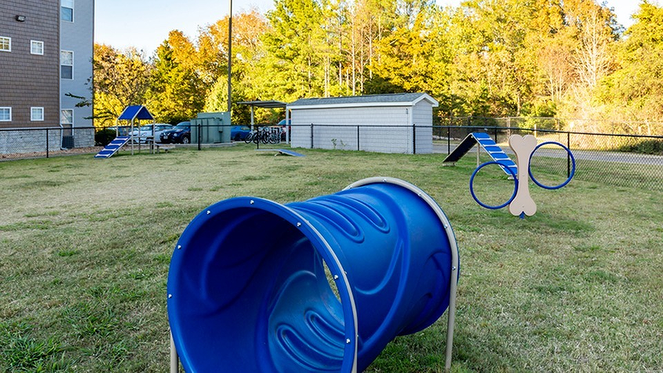 The Hangout | Student Housing