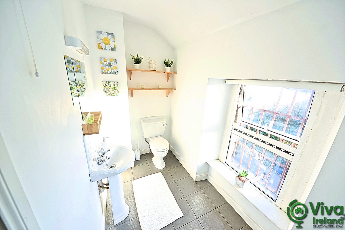 Twin Room - 5