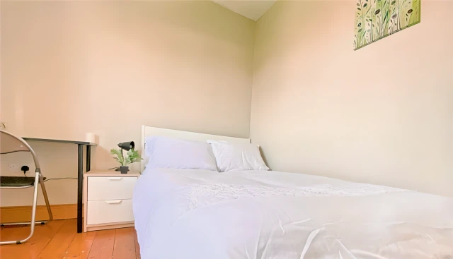  Single Room  -  Friars Walk Mews, Friars Walk  - Gallery -  3