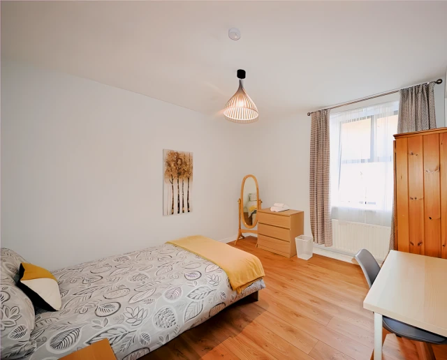  Double Room  -  133 Glanmire Road Lw  - Gallery -  5