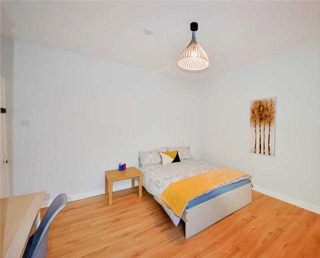  Double Room  -  133 Glanmire Road Lw  - Gallery -  9