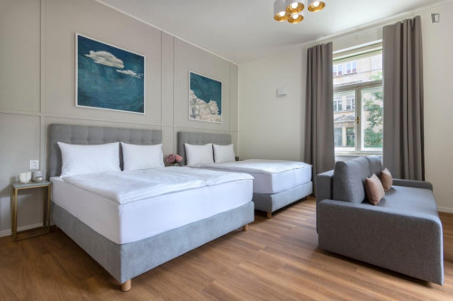Dashing studio near Riegrovy Sady park