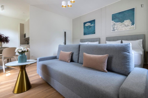 Dashing studio near Riegrovy Sady park