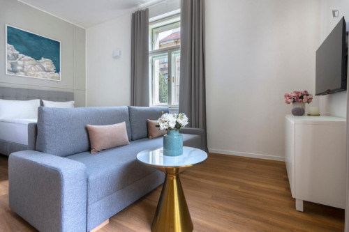 Dashing studio near Riegrovy Sady park