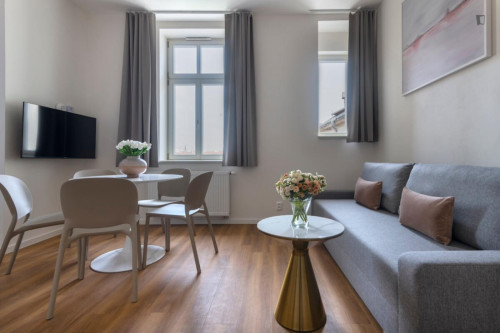 Excellent studio in Vinohrady