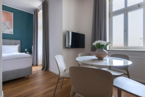 Excellent studio in Vinohrady