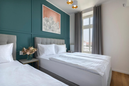 Excellent studio in Vinohrady