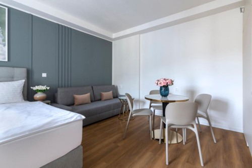 Delightful studio in Vinohrady