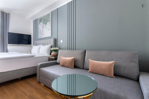 Delightful studio in Vinohrady