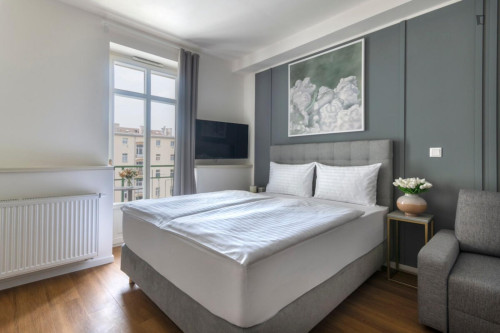 Delightful studio in Vinohrady
