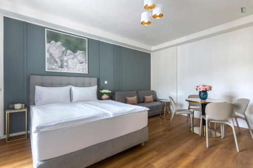 Delightful studio in Vinohrady