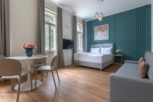 Large and cosy studio in Vinohrady