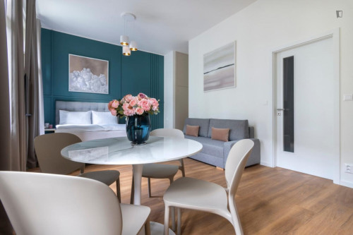 Large and cosy studio in Vinohrady